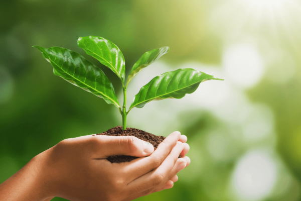 google-search-eco-friendly-615eb5e872143-sej-1520x800